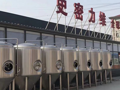 海宁精酿啤酒设备厂—如何判断精酿啤酒设备的密封件需要更换？